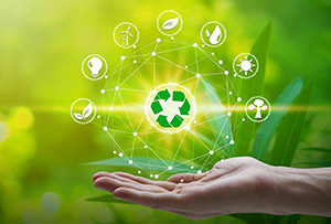 Kluczowe informacje na temat recyklingu odpadów w przedsiębiorstwie